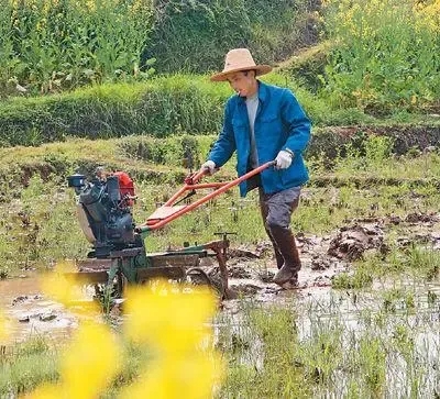 疫情防控的基本常識是什么？（疫情防控和春耕備耕兩不誤）